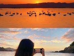 -巧克力渔家.小船海鲜胶东菜(万平口店)