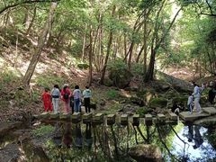 -苍龙峡风景区