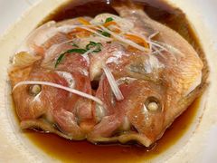 清蒸红星斑-华盛丰温州大排档(东三环南路店)