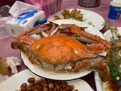 -金海湾海鲜排档(朱家尖店)