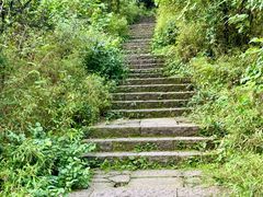 -杭州半山国家森林公园