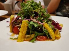 蔬菜沙拉-隐泉之语日式料理(王府中环店)