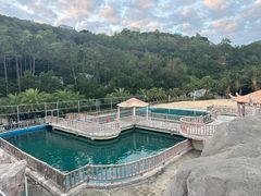 -广东惠东海龟国家级自然保护区