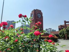 -永隆圣马可国际家居广场(江东中路店)