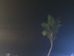 -JW万豪厨房餐厅·滨海草坪烧烤·海鲜·海景(三亚绿发山海天JW万豪酒店)
