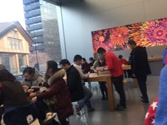 -Apple零售店(成都太古里店)