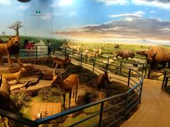 -陕西自然博物馆