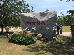 -御林古桑园