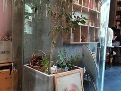 -Infica Coffee