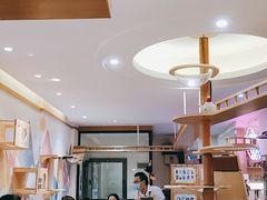 -滚猫咖啡·猫咖·猫友好撸猫(未来城店)