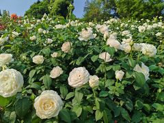 -火候轩品质湘菜·私厨(市府店)