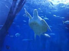 -多彩贵州城极地海洋世界