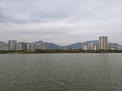 -飞来湖湿地公园