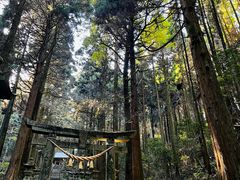 -上色见熊野座神社