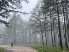 -塞罕坝国家级自然保护区