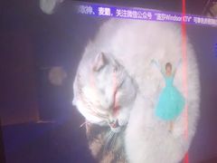 -温莎KTV(珠江路店)