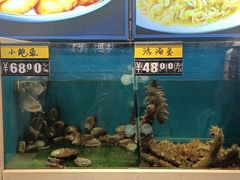 -鲜鲜·鲅鱼圈海鲜(于洪店)