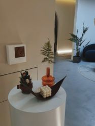 -VE专注问题肌·赛诺龙&科学美肤中心