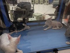 -鸿通城购物中心