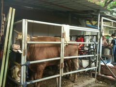 -正味斋锅巴菜(西北角店)