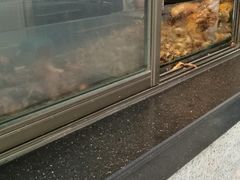 面包甜点陈列柜-盘飧市(春熙路店)