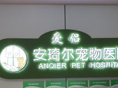 -爱侣·安琦尔宠物医院·中兽医针灸·心内科·狂犬免疫点(宝山区院)