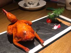 -大鸽饭(岗顶店)