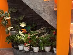 -泰古龙抓龙筋·spa按摩(静安店)