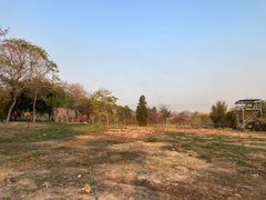 -天适樱花悠乐园