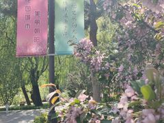 -海棠花溪(元大都城垣遗址公园)