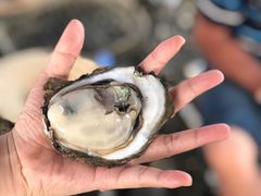 -蚝乡农庄(铁涌赤岸店)