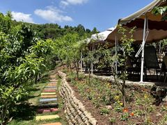 -桃源山庄·水蜜桃采摘·柴火鸡·烧烤团建(龙泉山店)