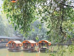 -侨美·唐荔园·40年地道粤菜