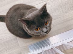 -猪盟咖啡店(玖洲道店)