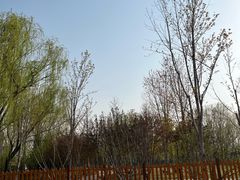 -回龙观体育文化公园