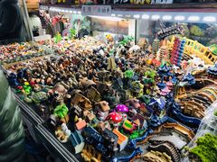 -万商花鸟市场