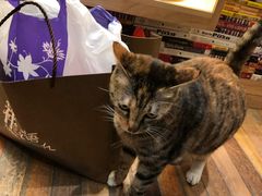 -猫的天空之城概念书店(杭州南宋御街店)