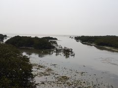 -北海金海湾红树林生态旅游区