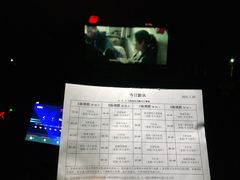 -枫花园汽车电影院(朝阳公园店)