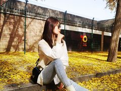-三里屯东五街银杏大道