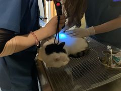 -萌兽医馆·犬猫专科·眼科中心·宠物医院(朝阳门分院)