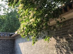 -大旗头古村