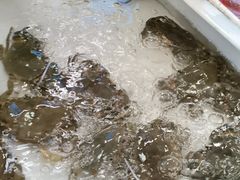 -南沙十九涌渔人码头-南门