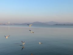 -深圳湾公园(南山区)
