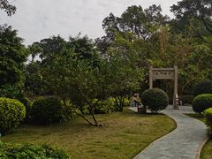 -晓港公园
