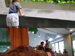 -中国湿地博物馆