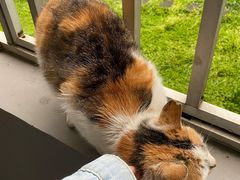 -河海大学(常州校区)