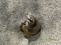 -秦皇岛野生动物园