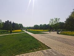 -北坞公园