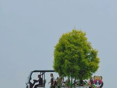 -空港花田景区